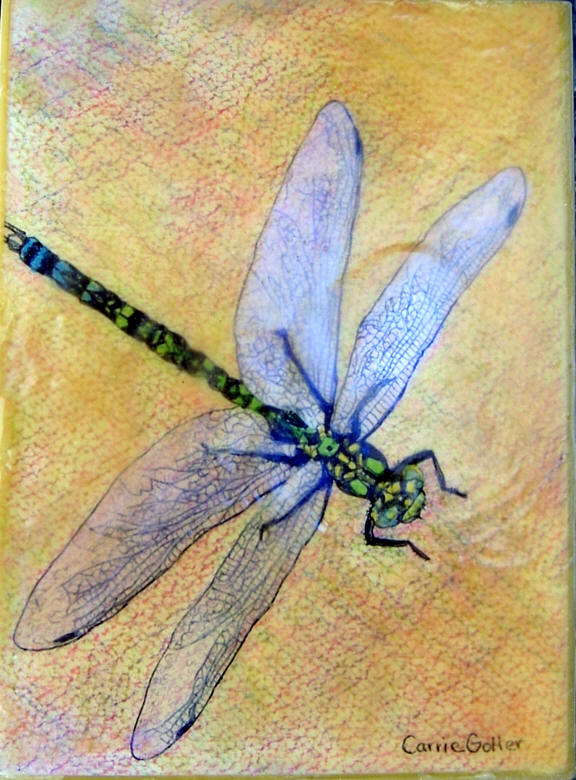  Dragonfly