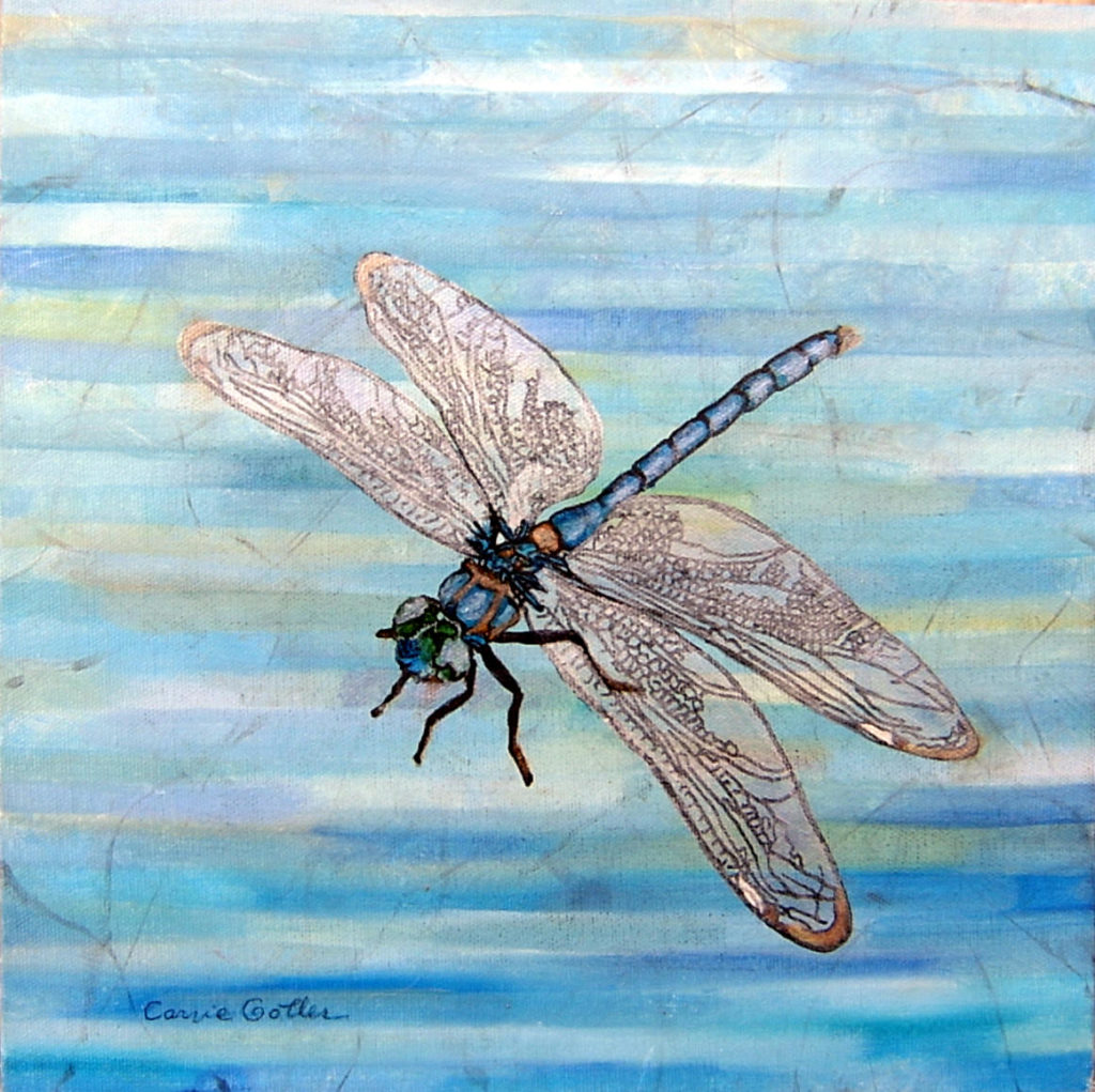 Blue Dragonfly