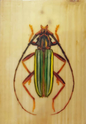 Beetle II