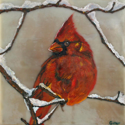 Snow Cardinal